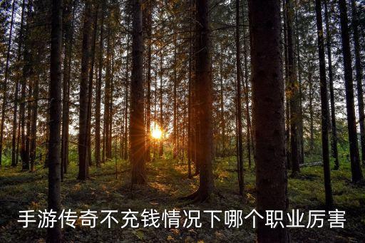手游传奇不充钱情况下哪个职业厉害