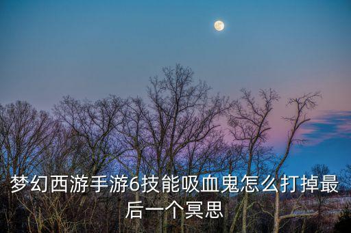 梦幻西游手游6技能吸血鬼怎么打掉最后一个冥思