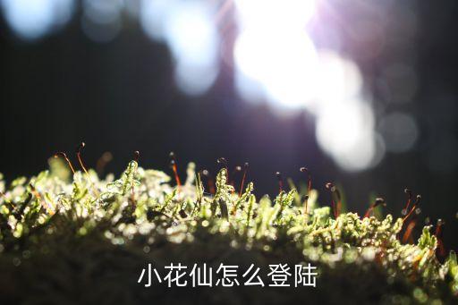 小花仙怎么登陆