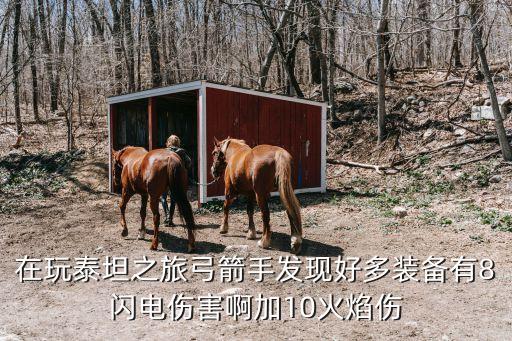 在玩泰坦之旅弓箭手发现好多装备有8闪电伤害啊加10火焰伤