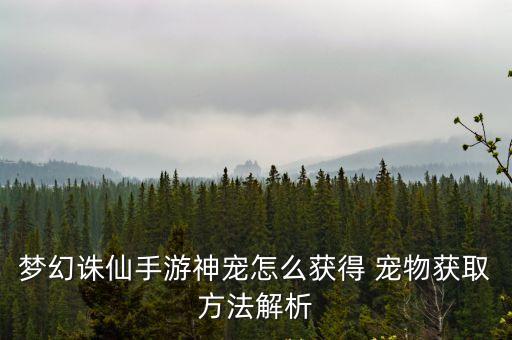 梦幻手游萌兔耳怎么弄，梦幻西游手游兔耳朵头饰怎么获得呢 要多少钱买