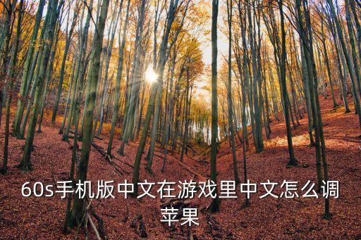 60s手机版中文在游戏里中文怎么调苹果