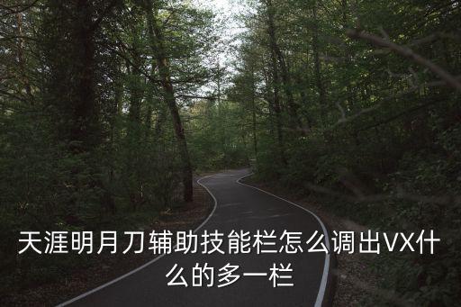 天涯明月刀辅助技能栏怎么调出VX什么的多一栏