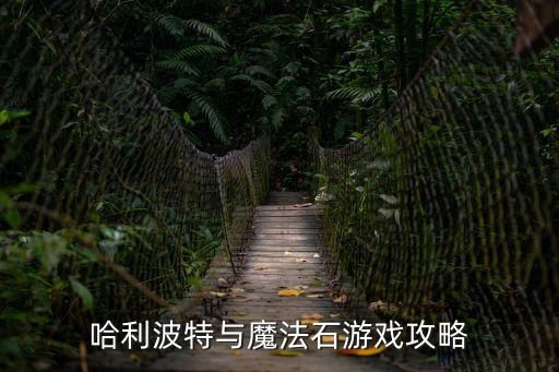 哈利波特与魔法石游戏攻略