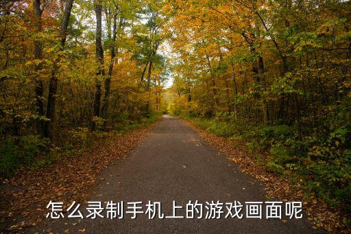 怎么录制手机上的游戏画面呢