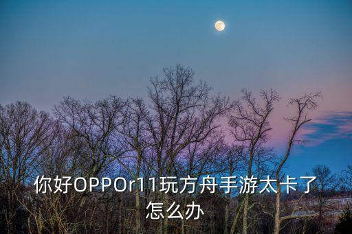 你好OPPOr11玩方舟手游太卡了怎么办