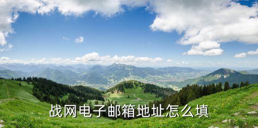 战网电子邮箱地址怎么填