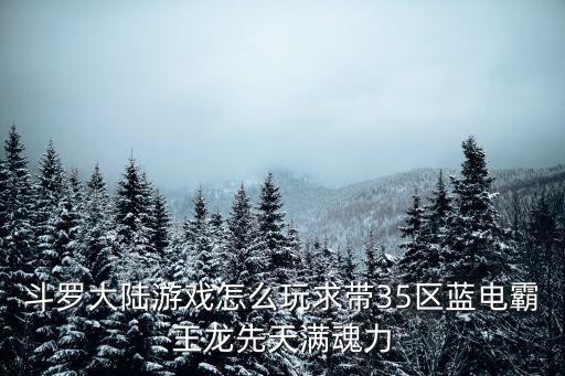斗罗大陆游戏怎么玩求带35区蓝电霸王龙先天满魂力