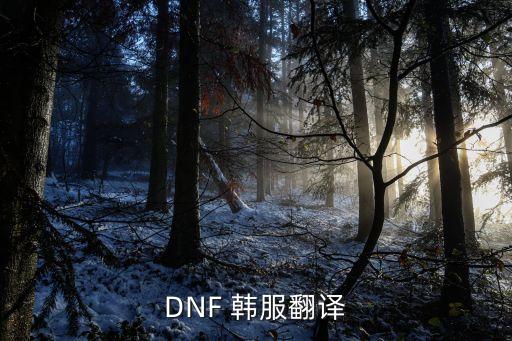 手游地下城韩服怎么翻译，韩文dnf求翻译