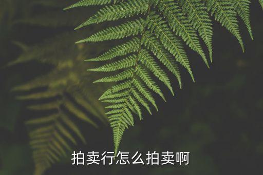 拍卖行怎么拍卖啊