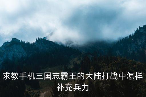 求教手机三国志霸王的大陆打战中怎样补充兵力