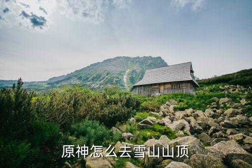 原神怎么去雪山山顶