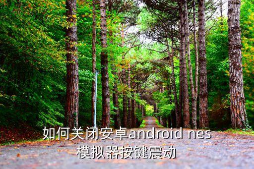 如何关闭安卓android nes模拟器按键震动