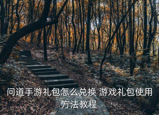 问道手游礼包怎么兑换 游戏礼包使用方法教程
