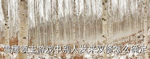 雪鹰领主游戏中别人发来双修怎么确定