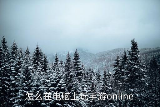 怎么在电脑上玩手游online