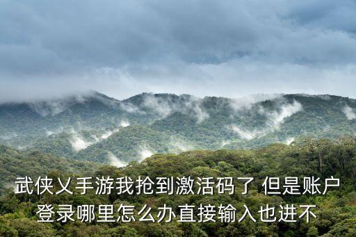 武侠乂手游我抢到激活码了 但是账户登录哪里怎么办直接输入也进不