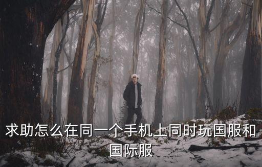 求助怎么在同一个手机上同时玩国服和国际服