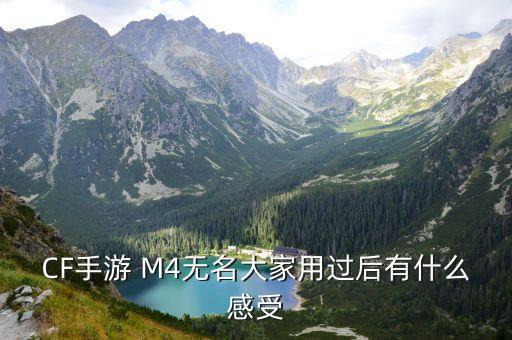 CF手游 M4无名大家用过后有什么感受