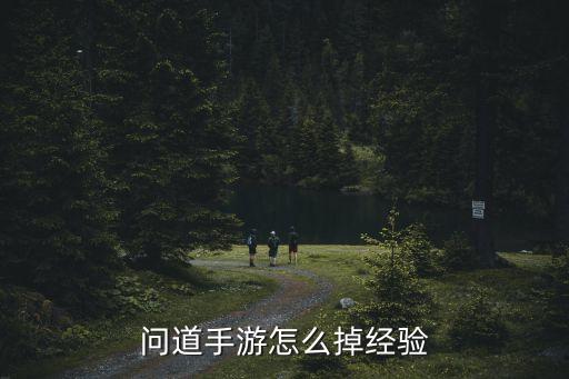 问道手游青云怎么刷经验，问道怎么快速掉经验