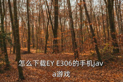 怎么下载EY E306的手机java游戏