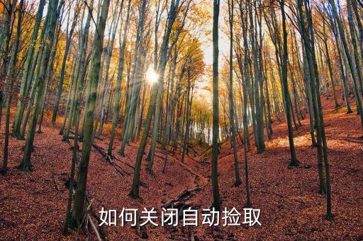 如何关闭自动捡取
