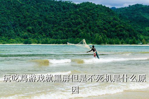 玩吃鸡游戏就黑屏但是不死机是什么原因