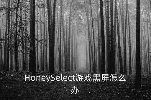 手游版艾希黑屏怎么办，我玩艾希手游黑屏能听的声音是怎么回事