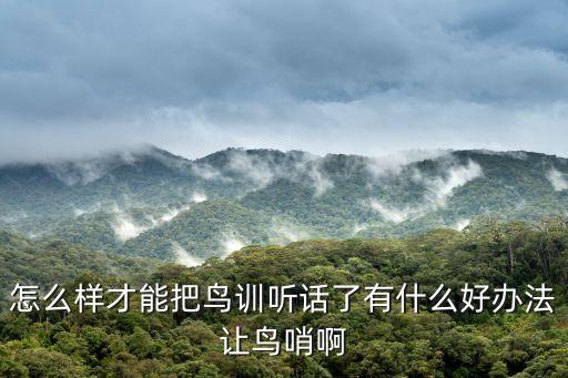 怎么样才能把鸟训听话了有什么好办法让鸟哨啊