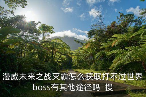 漫威未来之战灭霸怎么获取打不过世界boss有其他途径吗  搜