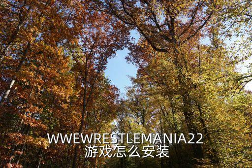 WWEWRESTLEMANIA22 游戏怎么安装