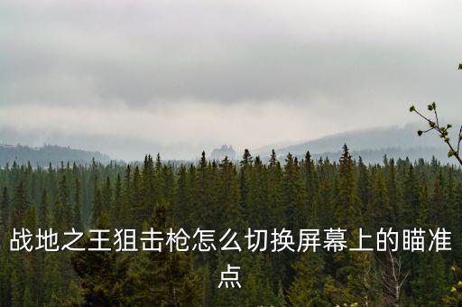 战地之王狙击枪怎么切换屏幕上的瞄准点