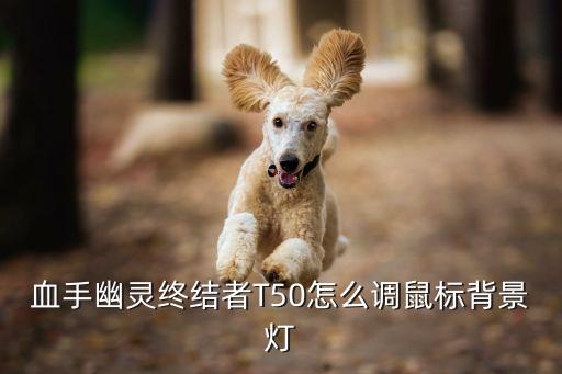血手幽灵终结者T50怎么调鼠标背景灯