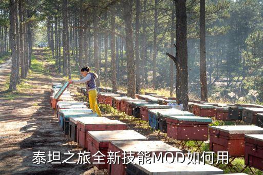 泰坦之旅手游安卓怎么打mod，泰坦之旅怎么安装这个MOD