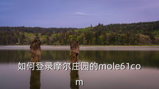 如何登录摩尔庄园的mole61com