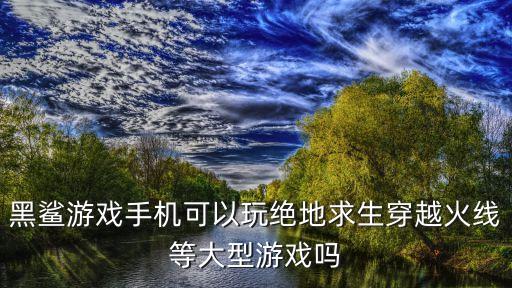 黑鲨游戏手机可以玩绝地求生穿越火线等大型游戏吗