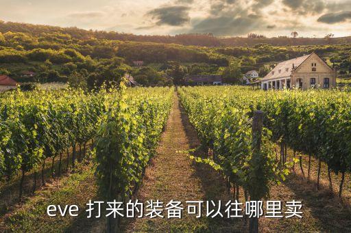 eve 打来的装备可以往哪里卖