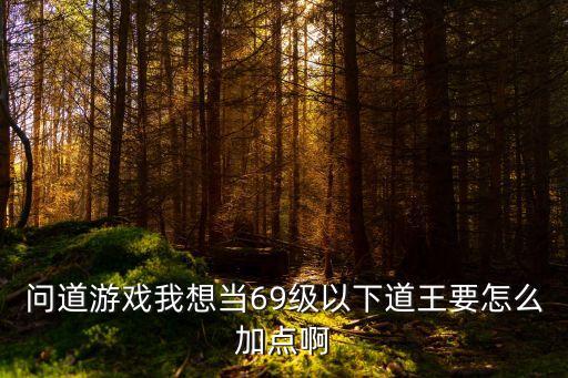问道游戏我想当69级以下道王要怎么加点啊