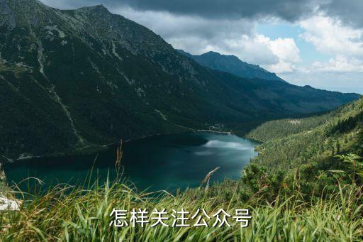 怎样关注公众号