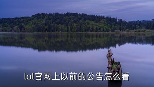 lol官网上以前的公告怎么看
