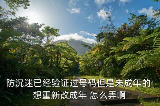 云顶之弈手游未成年怎么换号，我刚建完号可以玩拉可是他说我被检测到是未成年怎么改啊