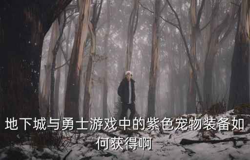 dnf手游紫色宠物怎么领，地下城与勇士游戏中的紫色宠物装备如何获得啊
