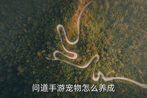 问道手游怎么开极限宠物，问道手游的宠物怎么养