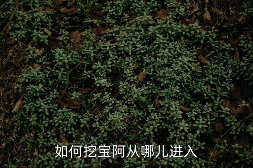 问道手游寻宝怎么进入，如何挖宝阿从哪儿进入