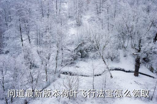 问道最新版本荷叶飞行法宝怎么领取