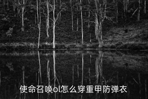 使命召唤ol怎么穿重甲防弹衣