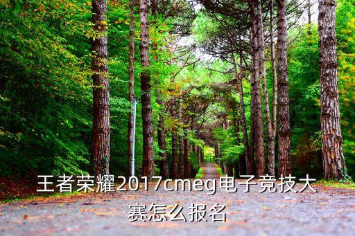 王者荣耀2017cmeg电子竞技大赛怎么报名