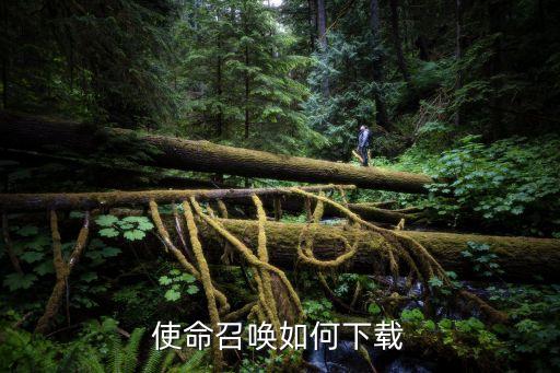 使命召唤如何下载