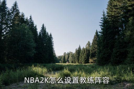 NBA2K怎么设置教练阵容