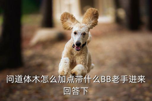 问道体木怎么加点带什么BB老手进来回答下